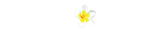Creole Travel Services Help Center